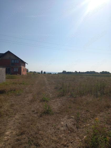 Teren de 9000 mp, în Lămășeni