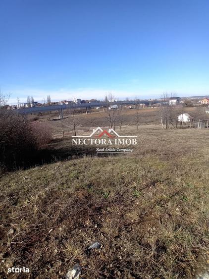 NECTORA IMOB-Parcele teren Intravilan Baile 1 Mai, parcele alipite,PUZ - 1