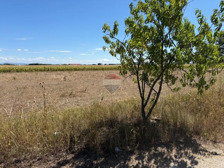 Teren Construcții extravilan de 930 mp, în Lucian Blaga
