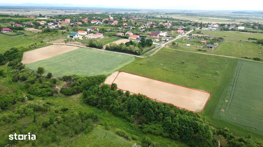 Teren de 2935 mp, în Viile Satu Mare