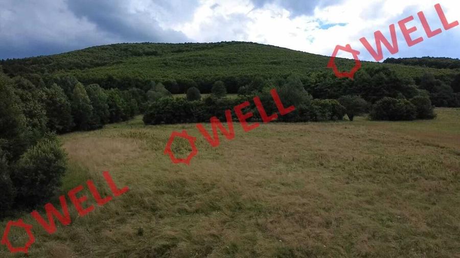 Teren extravilan de 1800 mp, în Malnaș
