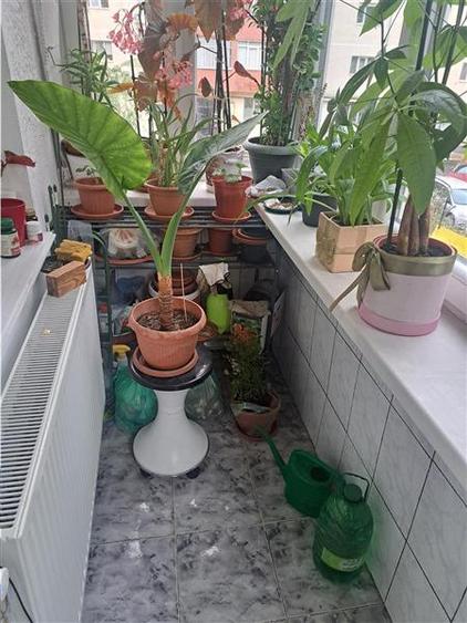 Apartament cu 3 camere decomandat, mobilat în Soarelui