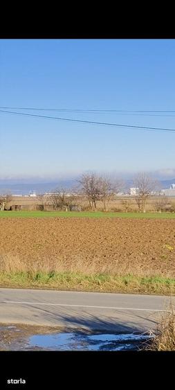 Teren de 1630 mp, în Luizi-Călugăra