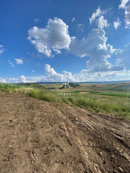 Teren Construcții intravilan de 2528 mp, în Pata