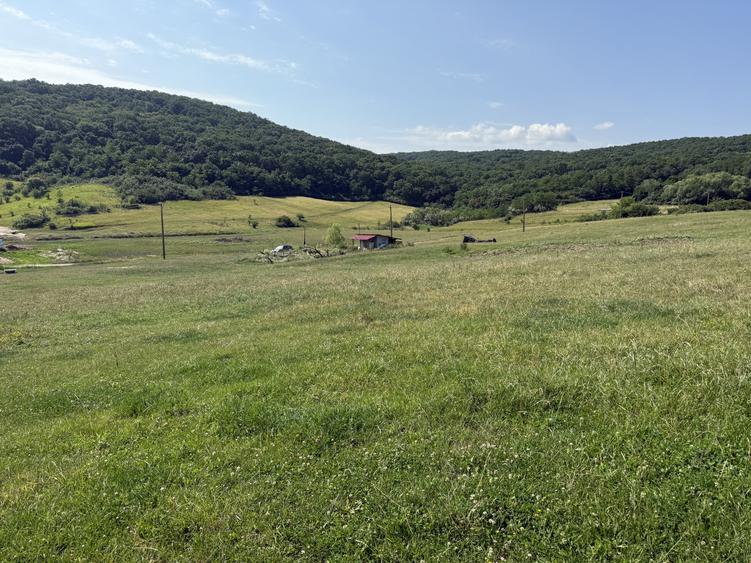 Teren Construcții intravilan de 5800 mp, în Dezmir