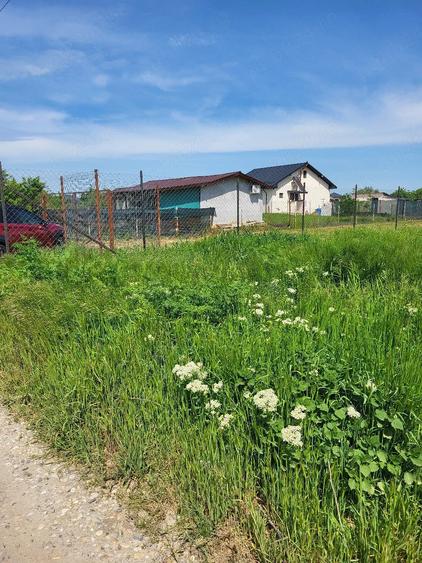 Teren de 3541 mp, în Gorneni