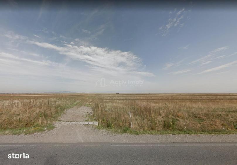 oportunitate, arabil zona de boom imobiliar Izvor, drum acces pietruit - 4