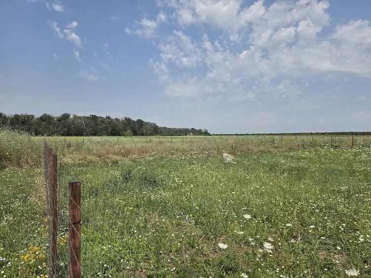 Teren de 460 mp, în Săbăreni