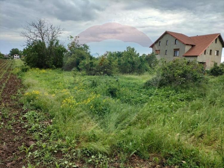 Teren Construcții intravilan de 3700 mp, în Gulia