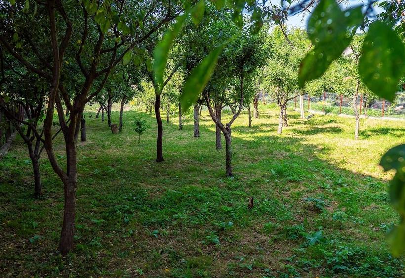 Casă cu Teren 17 Mp în Central
