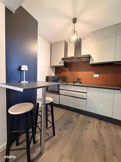 Copou - Parc , apartament 2 camere , 50 mp , amenajat modern - 5