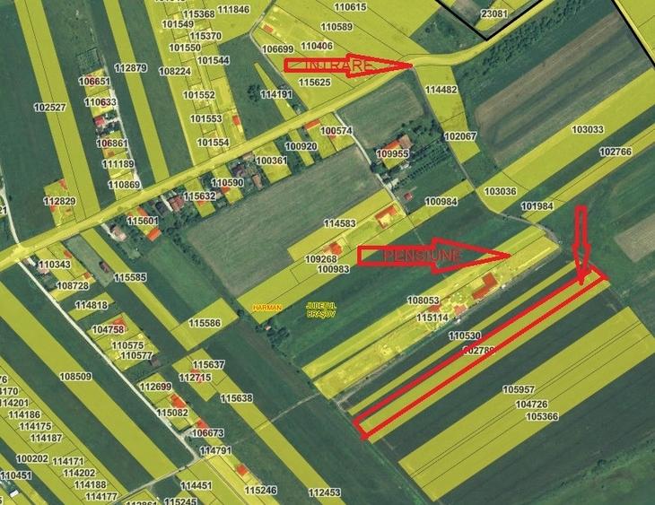 Teren agricol intravilan de 5700 mp, în Podu Oltului