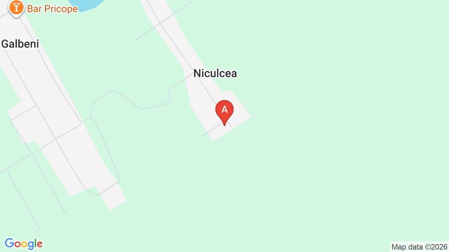 Casă individuală cu 4 camere cu Teren 6000 Mp în Niculcea