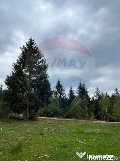 Teren de 68607 mp, în Călățele