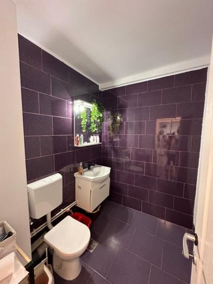 Apartament 2 camere de vanzare, Centru - 5