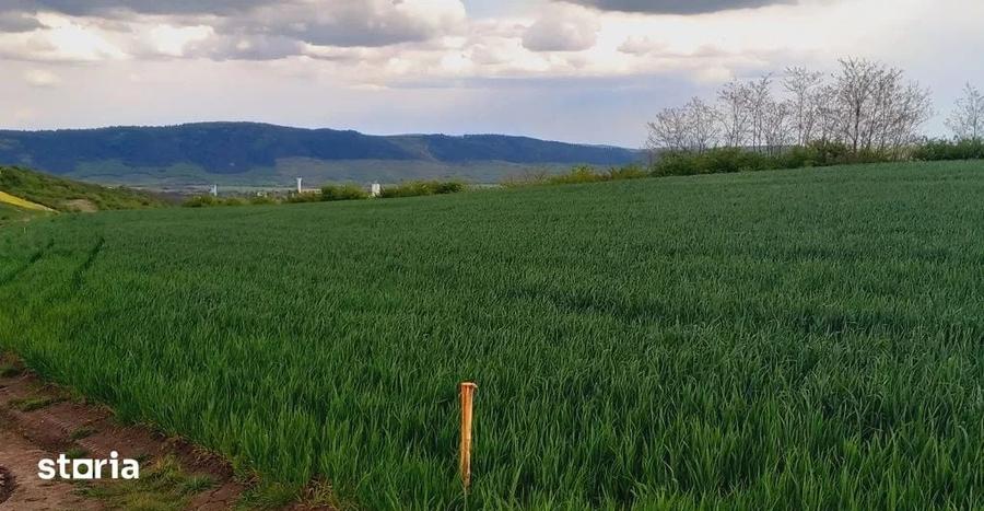 Teren vanzare ,Luna de jos , 4.5 hectare cu C.F , Extravilan 3.5Euro/M - 4
