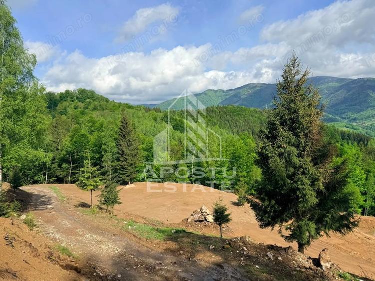 Teren de 18000 mp, în Central