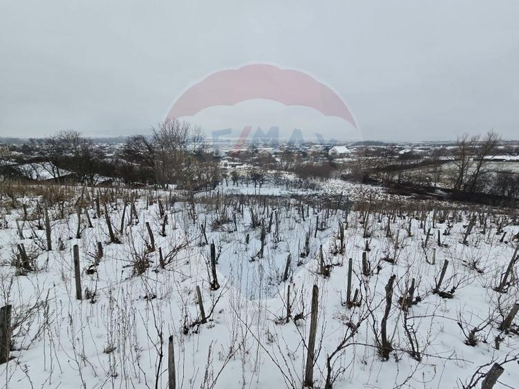Teren intravilan de 6850 mp, în Izvor