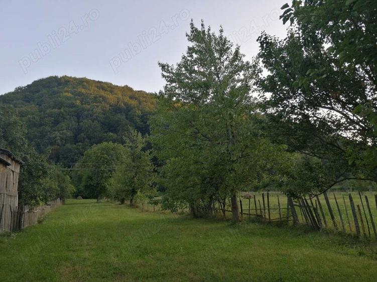 Vand casa ?i teren 2500 mp la munte in Valea Uzului. - 4