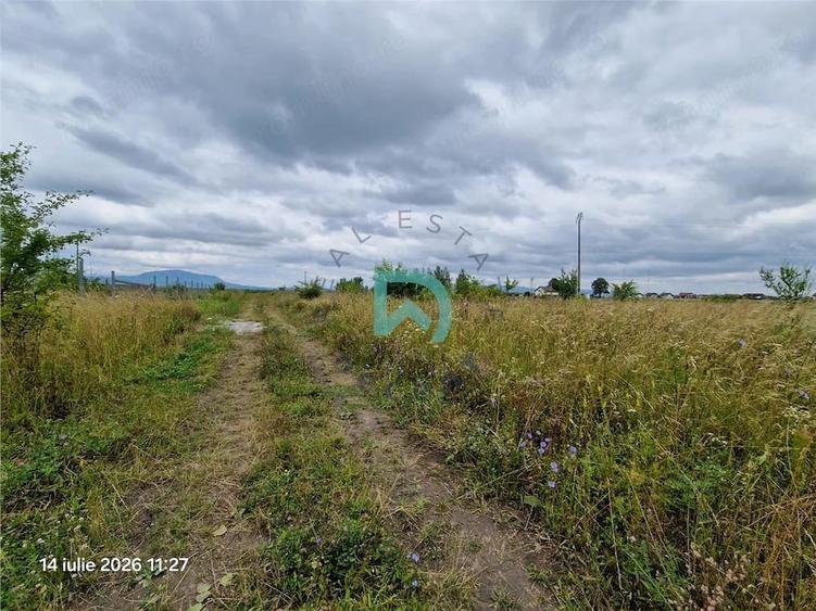 Teren de 500 mp, în Sânpetru