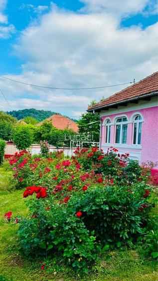 Vand casa locuibila cu teren 1490 mp