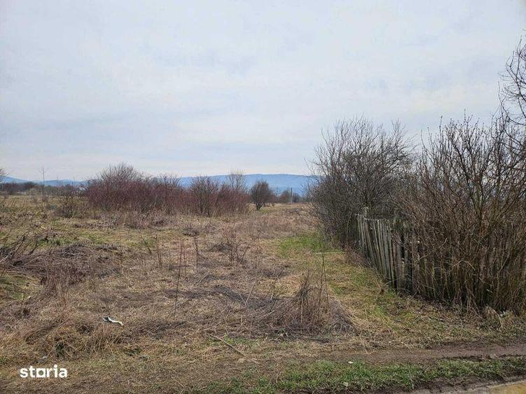 Particular, vand teren intravilan 3348 mp pe malul Oltului - 2