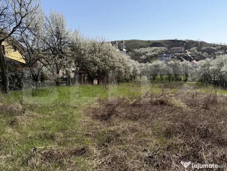 Teren intravilan in localitatea Criseni in suprafata de 2700 - 1