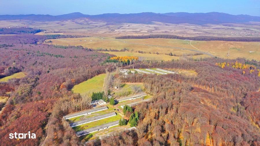 Teren de 186000 mp, în Dumbrăvița