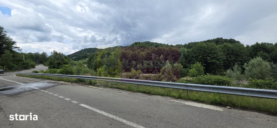 Cabana cu 5 camere de vanzare in Provita - 18