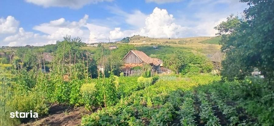 Casă cu 3 camere cu Teren 1443 Mp în Mihai Viteazu