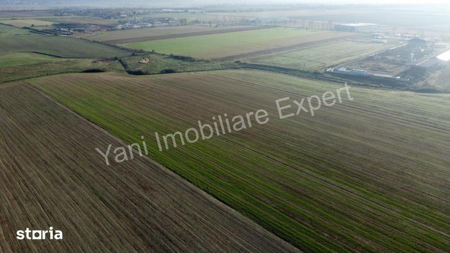 Teren de 10000 mp, în Căteasca