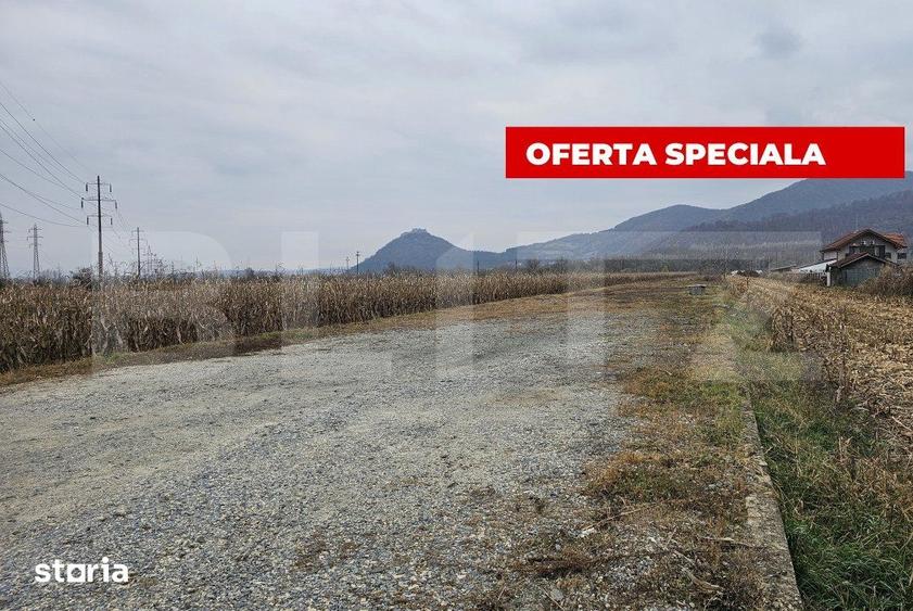 Teren de 2600 mp, în Șoimuș