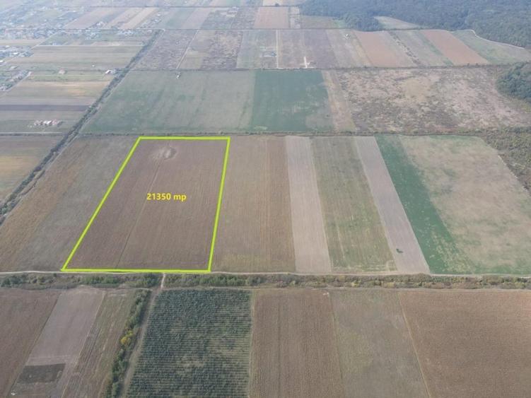 Teren Construcții intravilan de 213500 mp, în Moșnița Nouă
