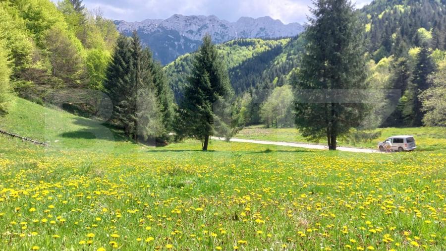 Teren exceptional de vanzare, 5170 mp  zona Plaiul Foii, Zarnesti - 5