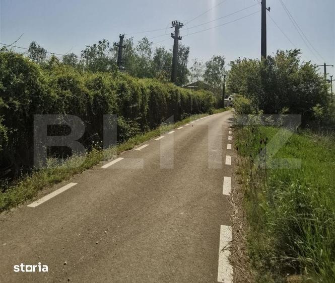 Teren de 4800 mp, în Nucet
