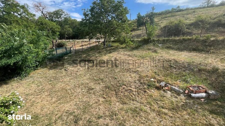 Casa spa?ioasa + Casa de oaspe?i. Ideala pentru 2 familii! - 5