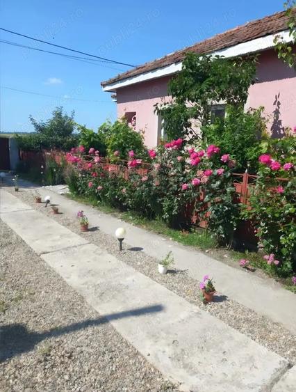 Casă în Osica de Sus