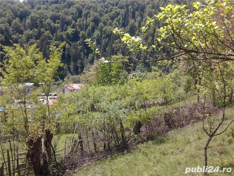 Teren de 5062 mp, în Voineasa