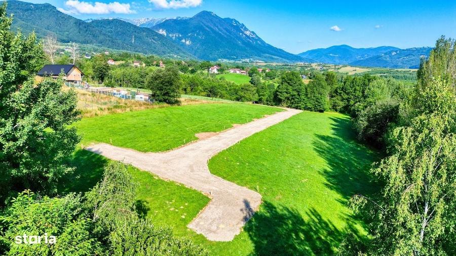 Teren intravilan zona Bran-Tohanita,langa padure intre 500 si 1000 m - 1