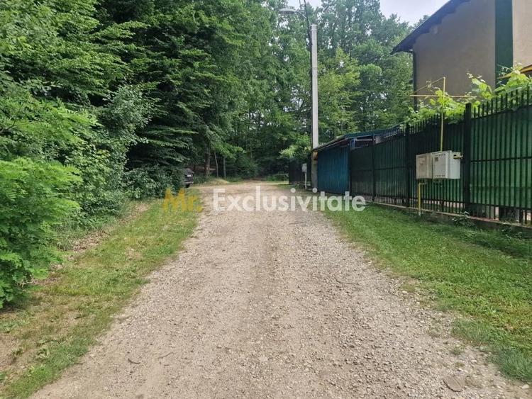 Teren de 12421 mp, în Big-Bascov