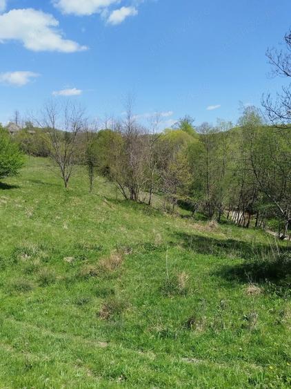 Teren de 7795 mp, în Opătești