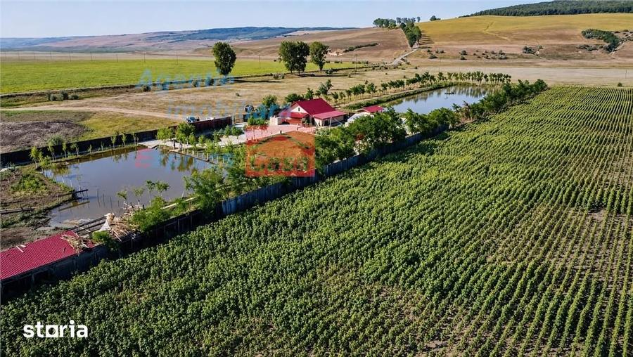 Proprietate deosebita de vanzare | Casa, 13.200 mp teren, doua iazuri - 19