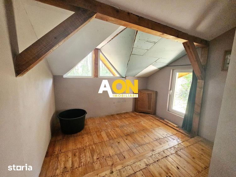 Casa tip cabana de vacanta, 5 camere, 2300 mp teren, zona Schit - 1