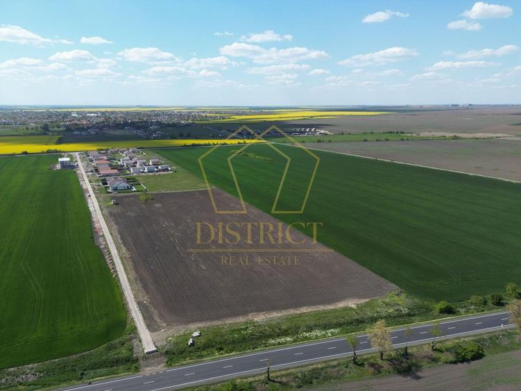 Teren Construcții intravilan de 6411 mp, în Sânandrei