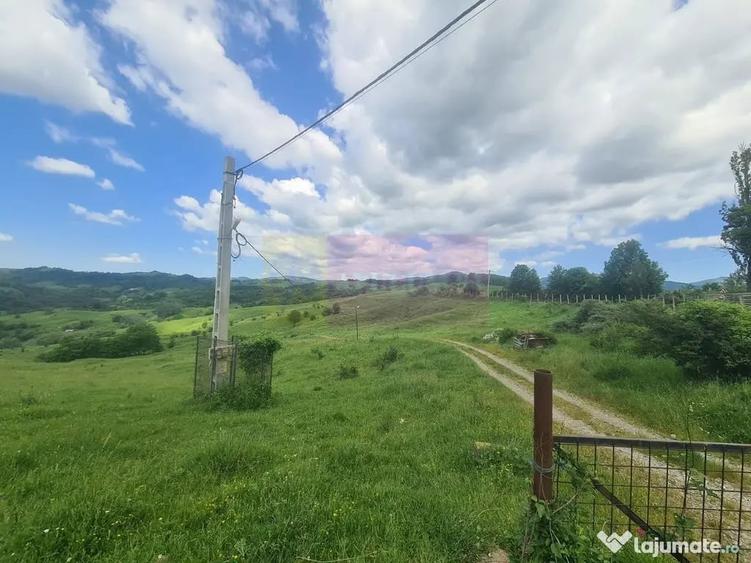 Teren de 9037 mp, în Plaiul Tălii