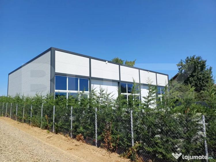 Hala depozitare/productie, 200 mp, Salcea - 3