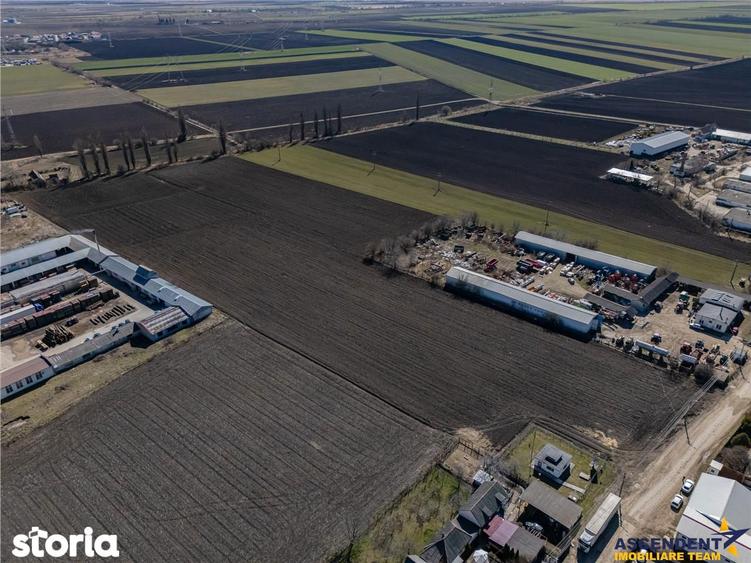 Teren de 30000 mp, în Hălchiu