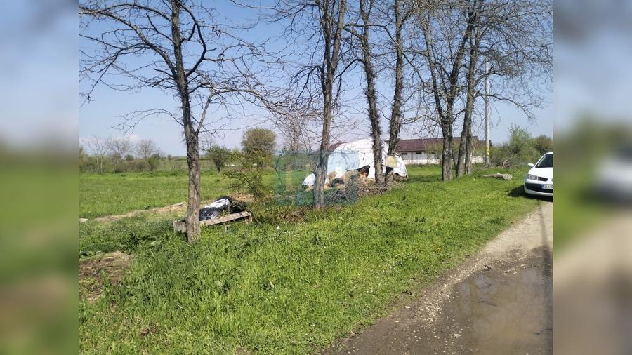Teren de 1992 mp, în Coșoveni