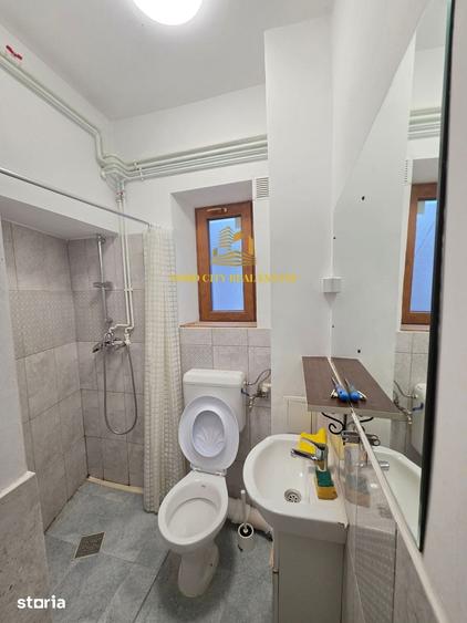Casa P+1+M | Ultracentral Bd. Gheorghe Magheru - Romana - 4