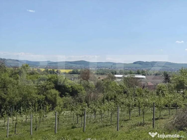 Teren în Curteni